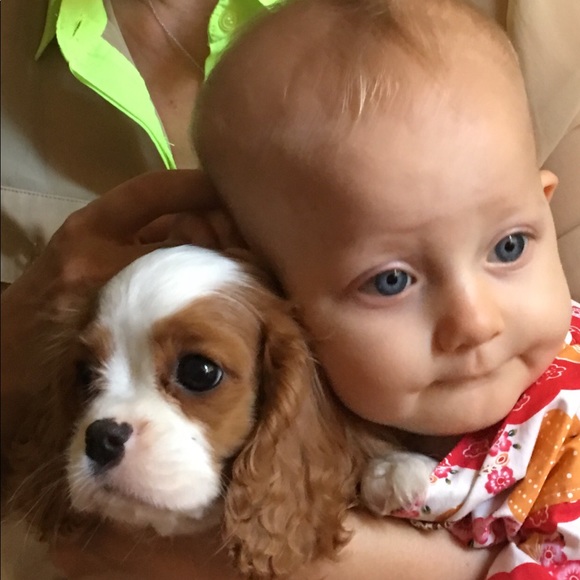 Meet your Posher, Charlotte - Picture 6 of 7